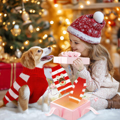 ABRRLO turtleneck winter sweater keeps pets warm and stylish.