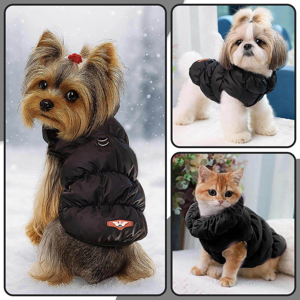 ABRRLO dog jacket during a park walk demonstrates everyday outdoor usability
