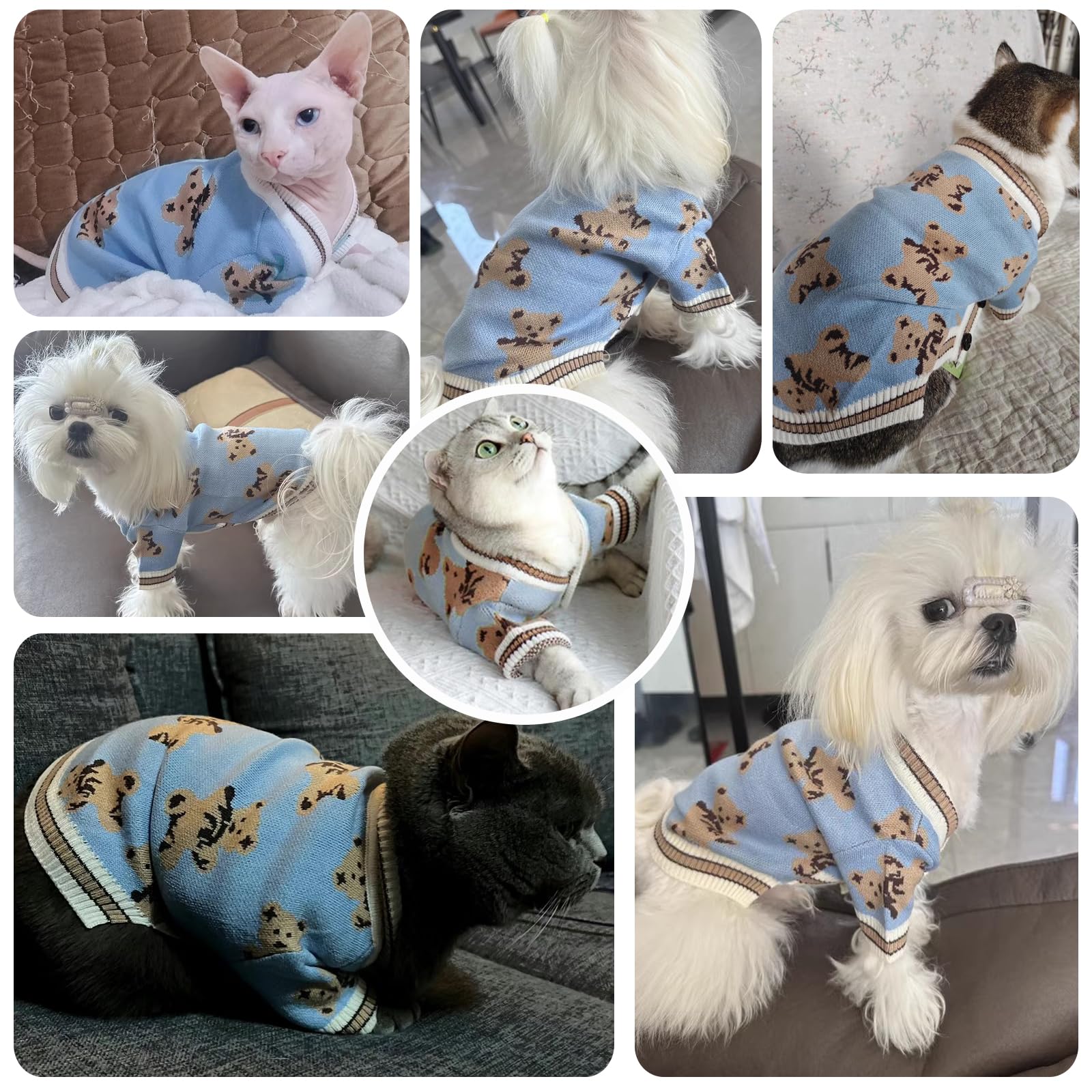 ABRRLO small dog sweater blue bear pattern, side view showing silhouette and fit.