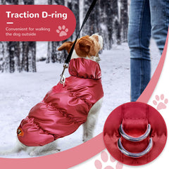 ABRRLO harness ring keeps leash handy without extra harness.
