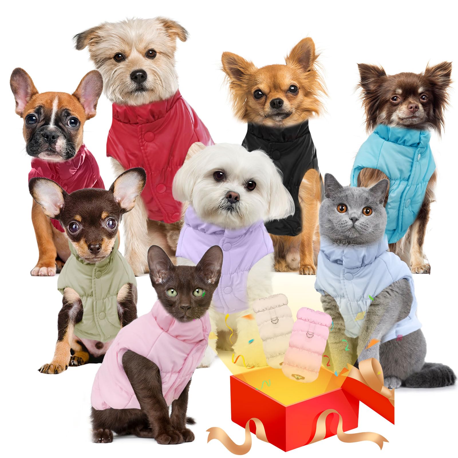 ABRRLO winter warm dog jacket street style on city sidewalk