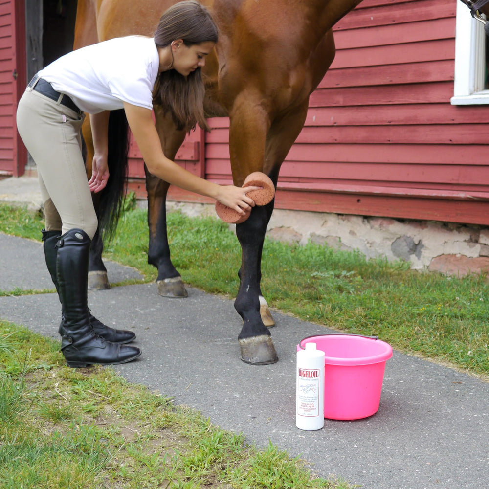 Absorbine Bigeloil Liniment in a 32oz bottle ready for regular external use.