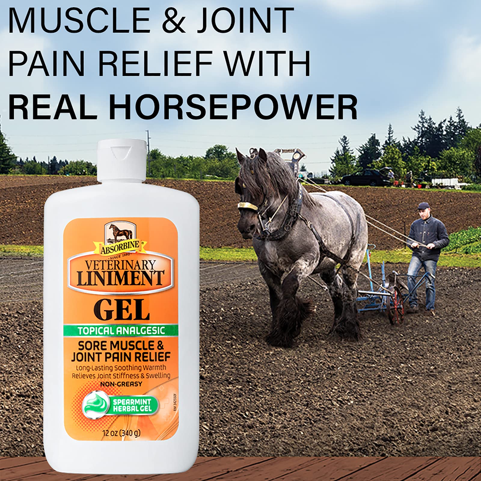 Absorbine liniment gel applied to horse shoulder for warming relief