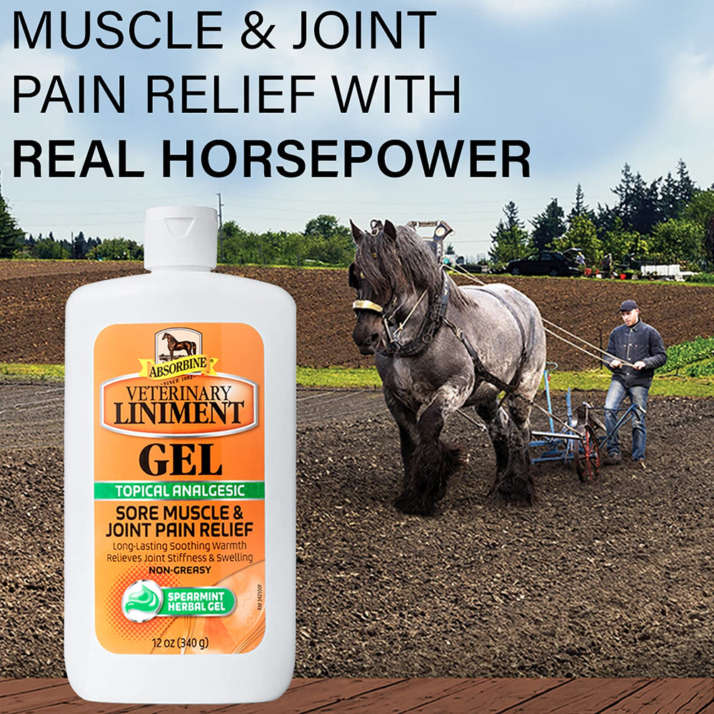 Absorbine liniment gel applied to horse shoulder for warming relief