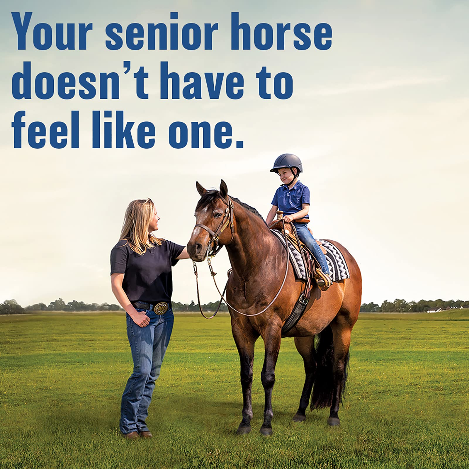 Absorbine Bute-Less measuring scoop highlights convenient dosing.