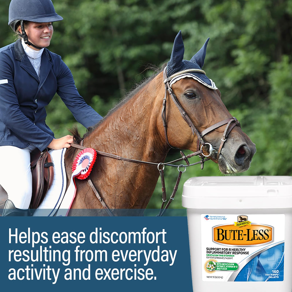 Absorbine Bute-Less packaging-160-day-supply scene showcases value
