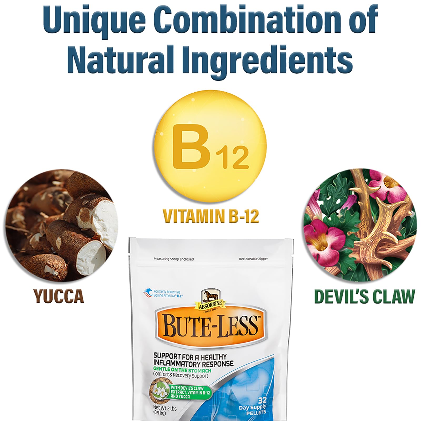 Absorbine Bute-Less feeding scene illustrating daily routine for horses