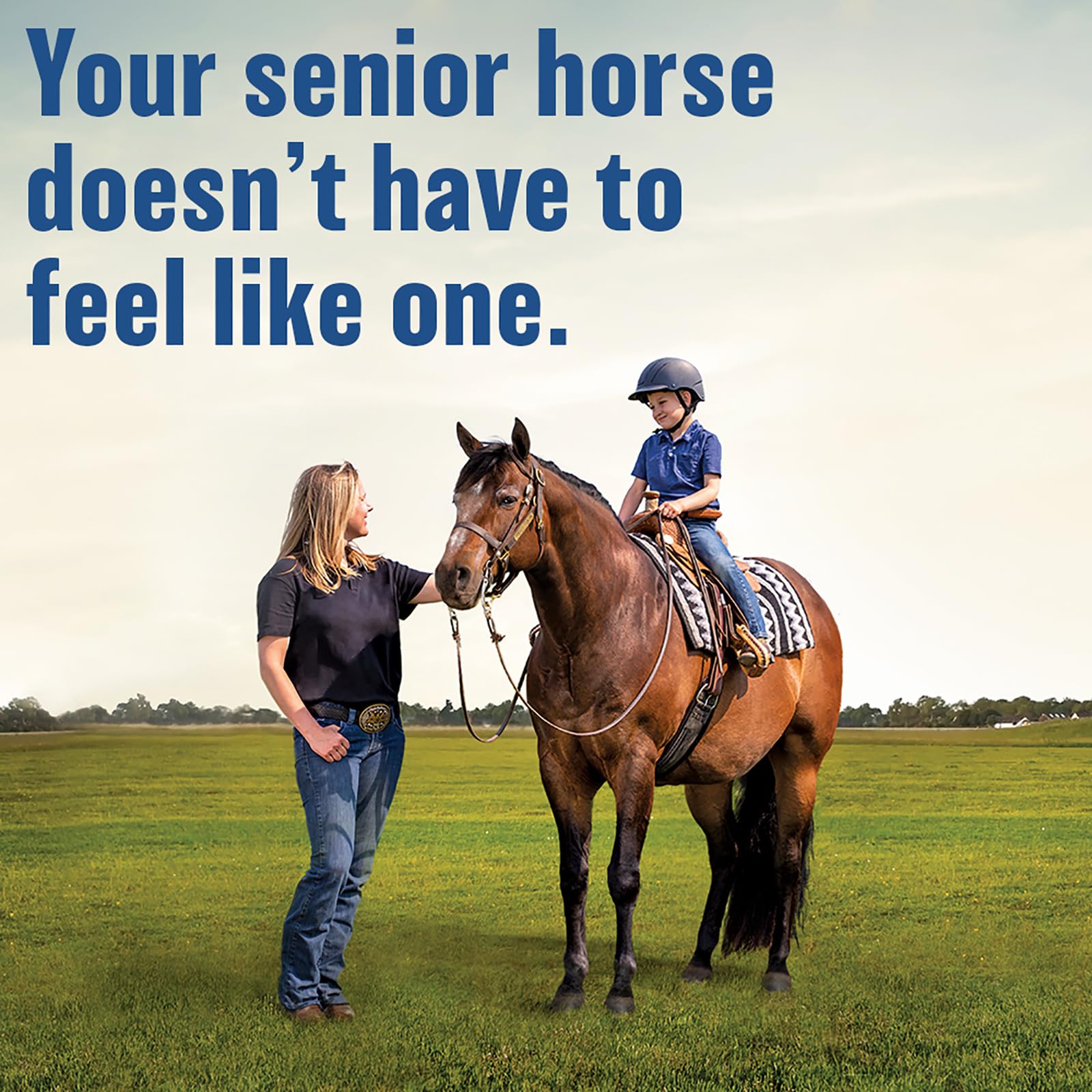 Absorbine Bute-Less pour-and-application shot suggests easy at-home use