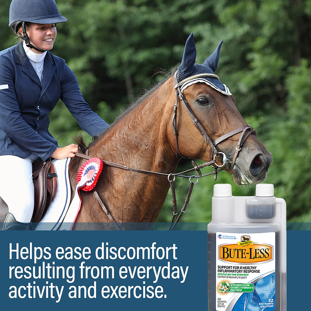 Absorbine Bute-Less in a stable setting suggesting ongoing comfort during daily work.