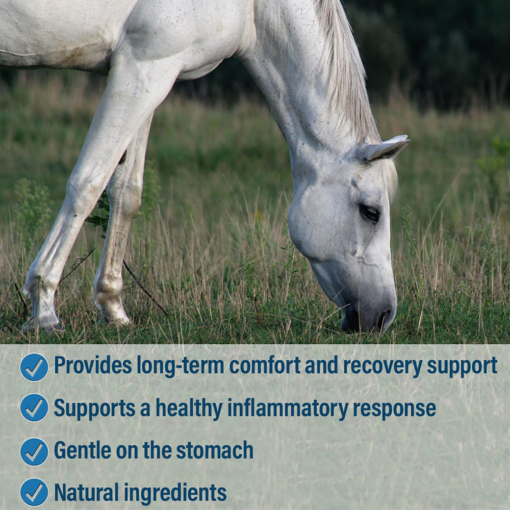 Absorbine Bute-Less yucca ingredient close-up signals inflammatory support