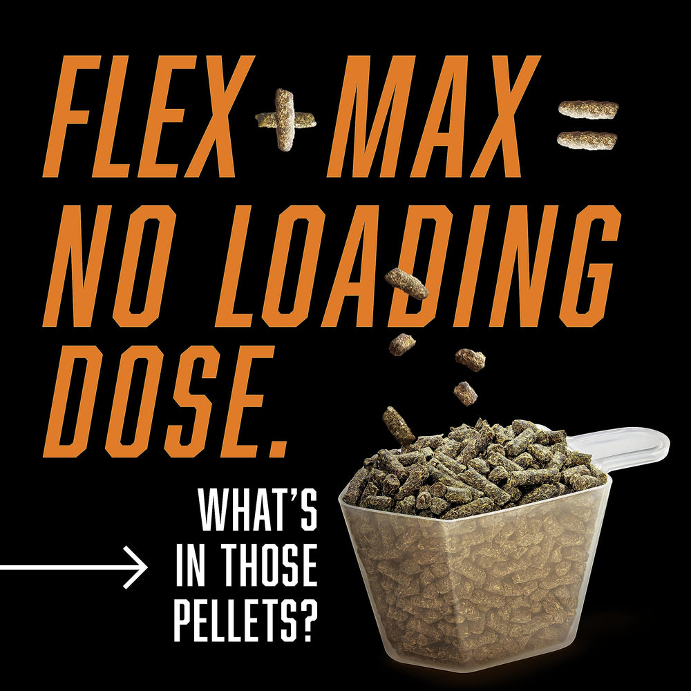 Absorbine Flex+Max pellets flaxseed features omega-rich nutrition for horses.