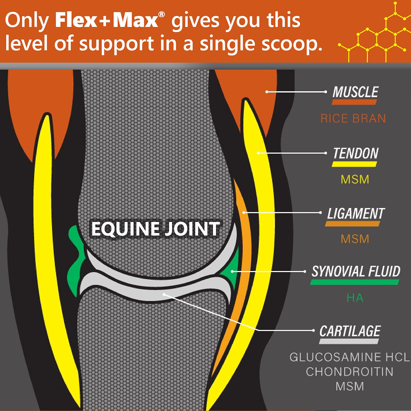 Absorbine Flex+Max pellets serving-spoon demonstrates easy daily dosing for consistent joint care.