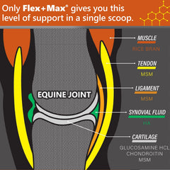 Absorbine Flex+Max pellets serving-spoon demonstrates easy daily dosing for consistent joint care.