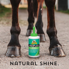 Absorbine Hooflex moisture balance shot highlights balanced hoof moisture