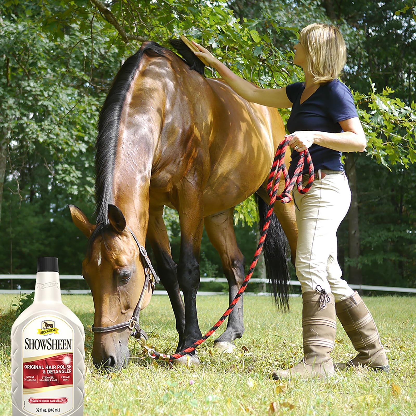 Absorbine ShowSheen on a dog's coat to enhance shine and conditioning.