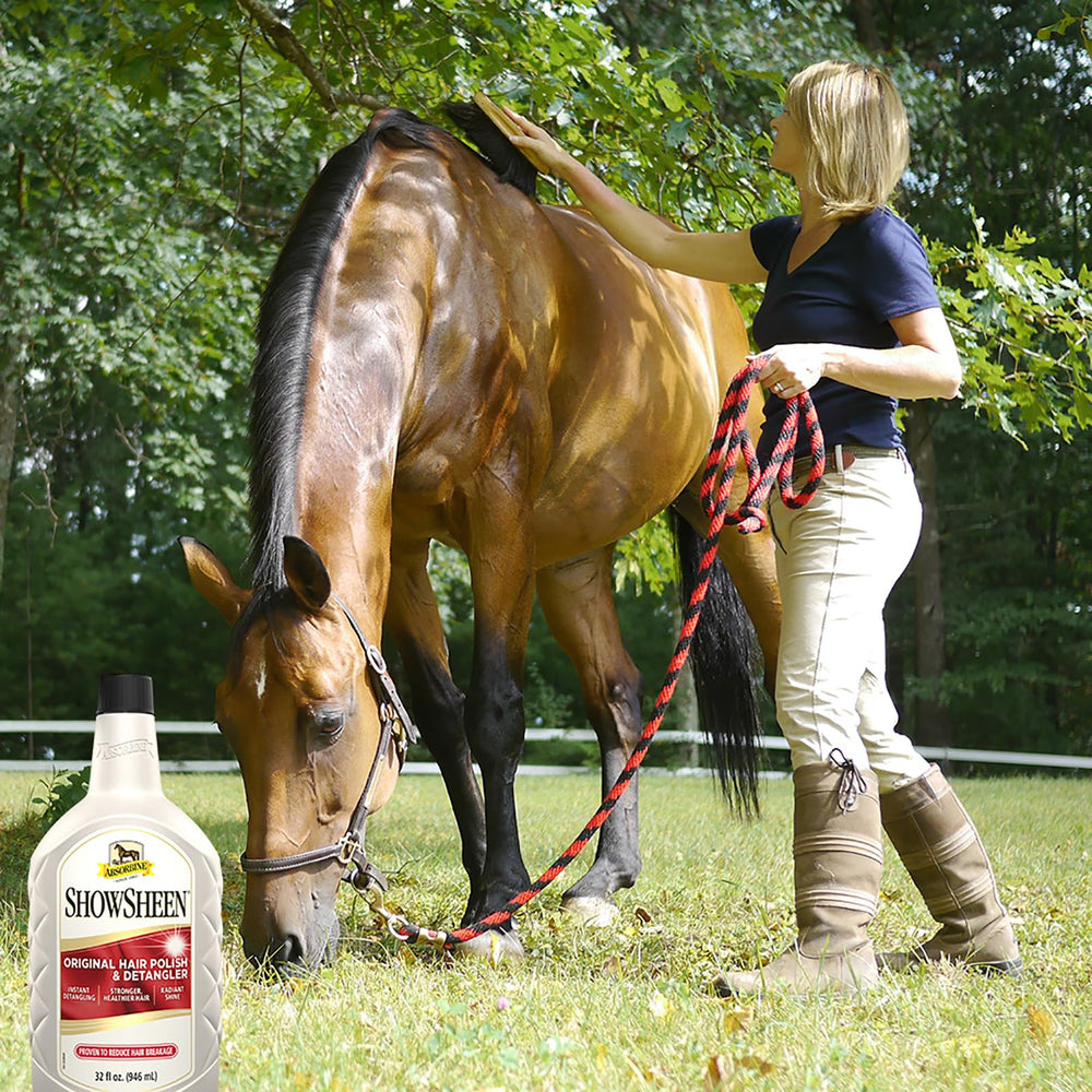 Absorbine ShowSheen on a dog's coat to enhance shine and conditioning.