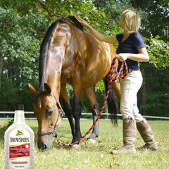 Absorbine ShowSheen on a dog's coat to enhance shine and conditioning.