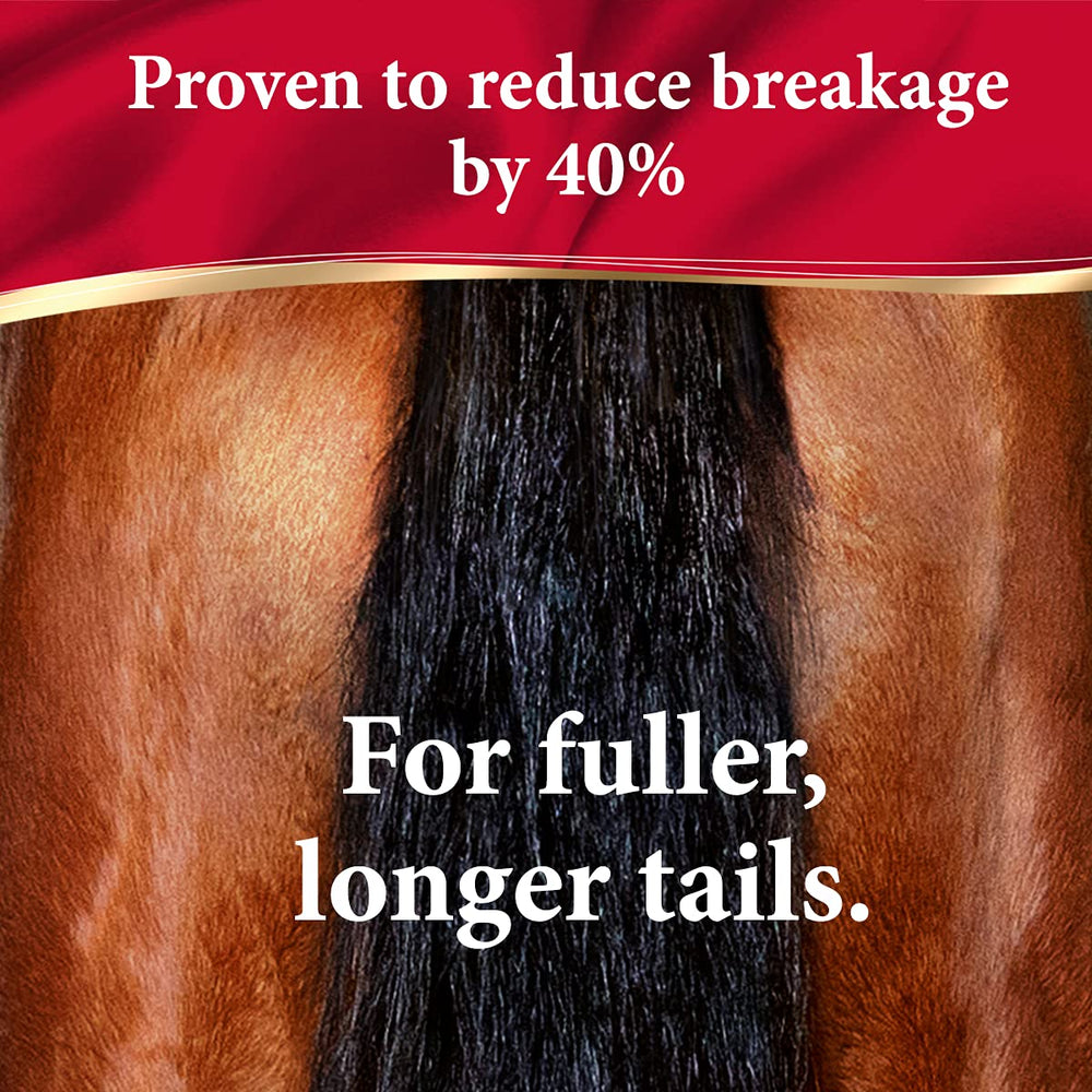 Absorbine ShowSheen instant detangling mane tail in grooming session