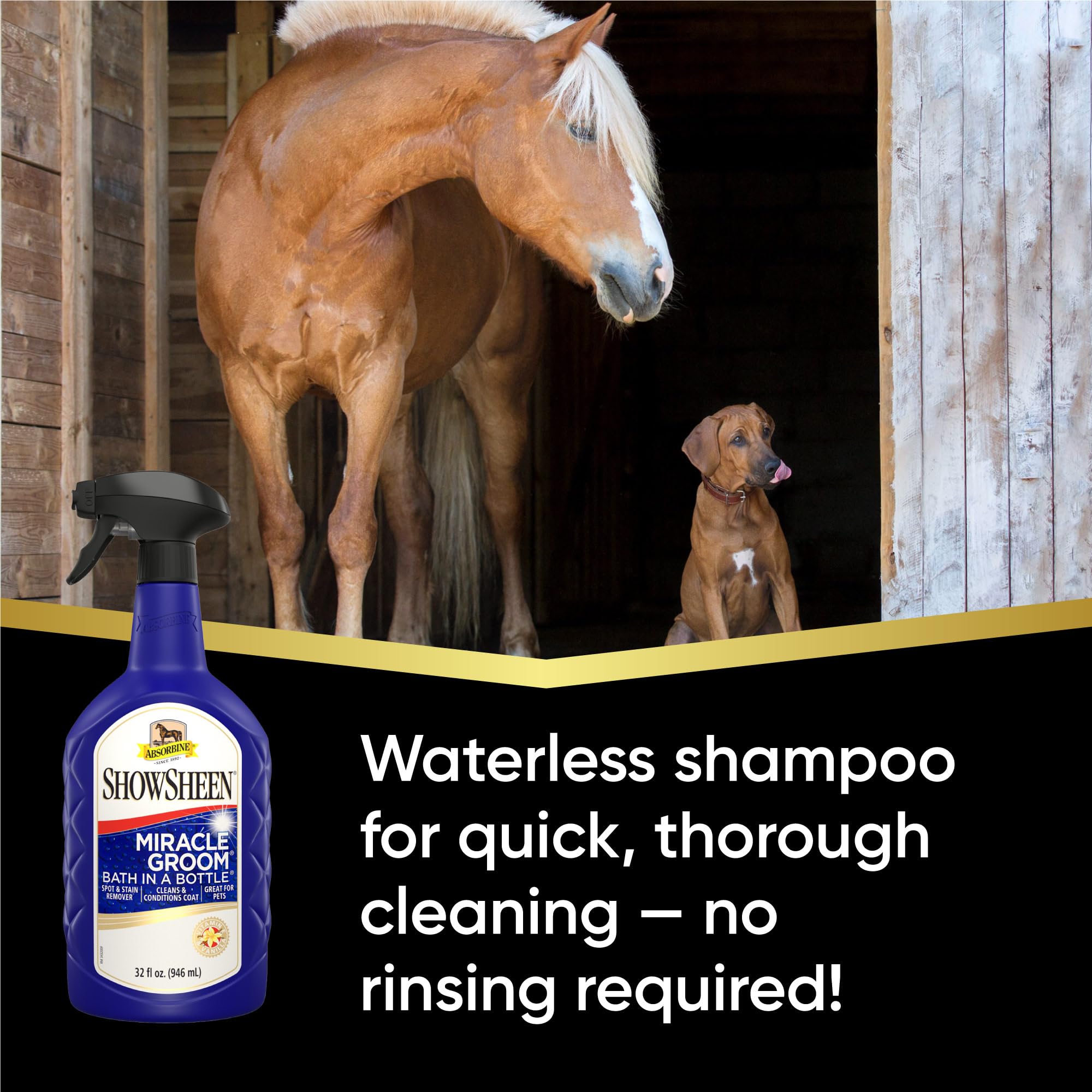 Absorbine ShowSheen Miracle Groom coat after-use reveals brighter color and detangling
