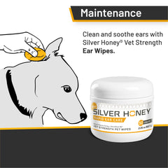 Absorbine Silver Honey MicroSilver BG close-up highlighting clean ear surfaces.