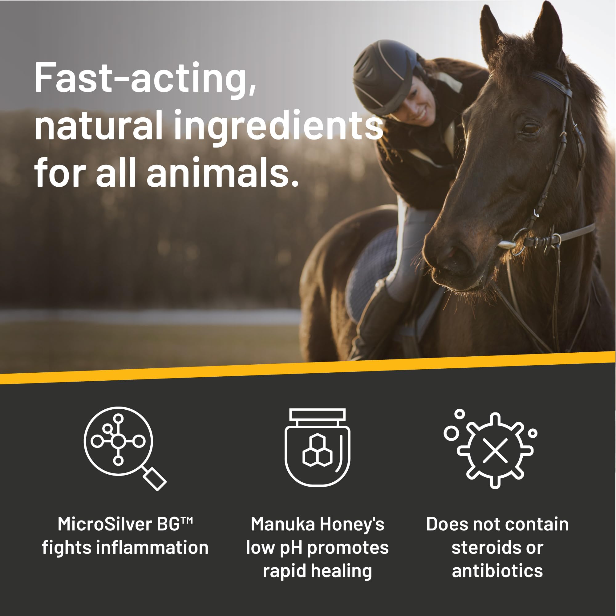 Detail of shea butter in Absorbine Silver Honey formula for skin comfort