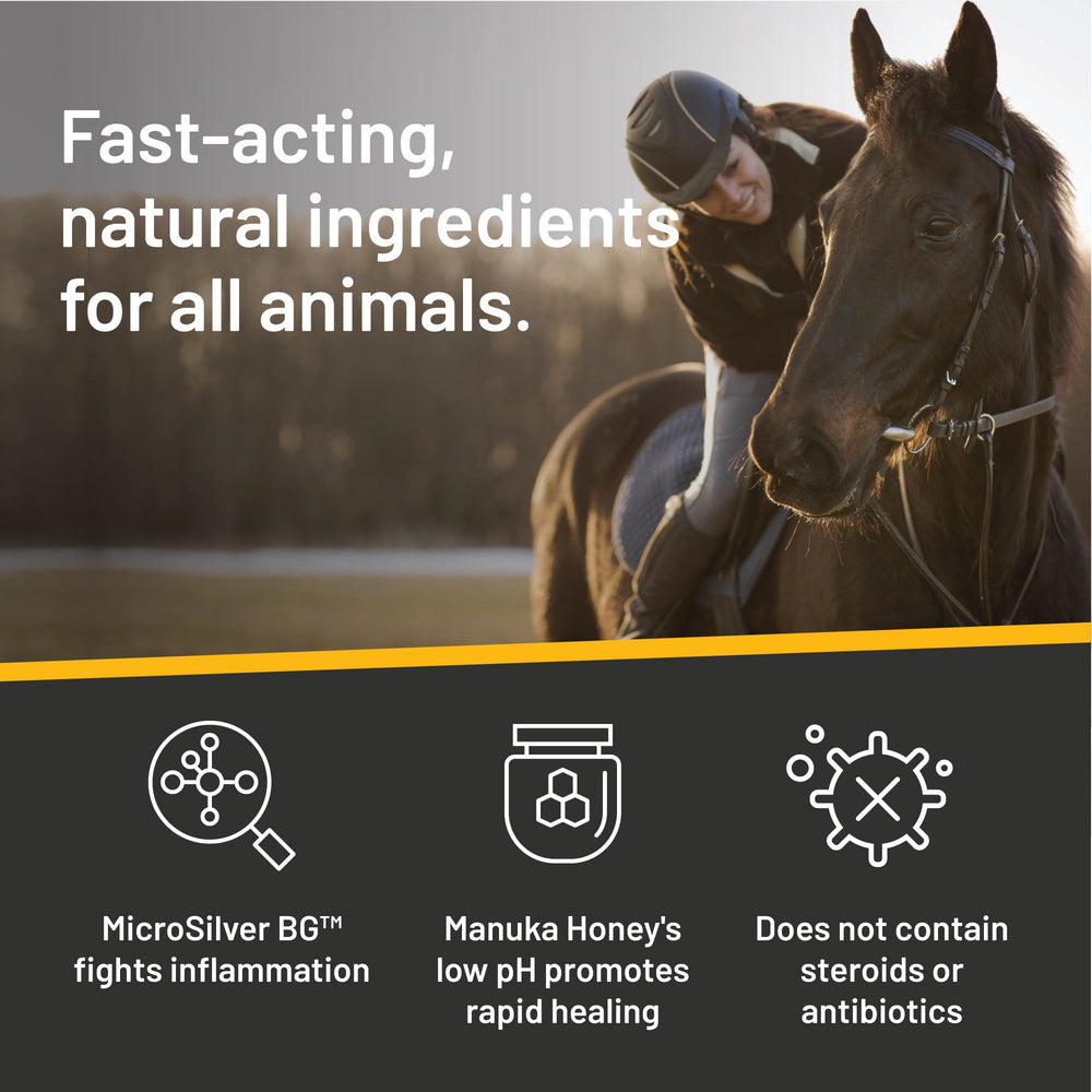 Detail of shea butter in Absorbine Silver Honey formula for skin comfort