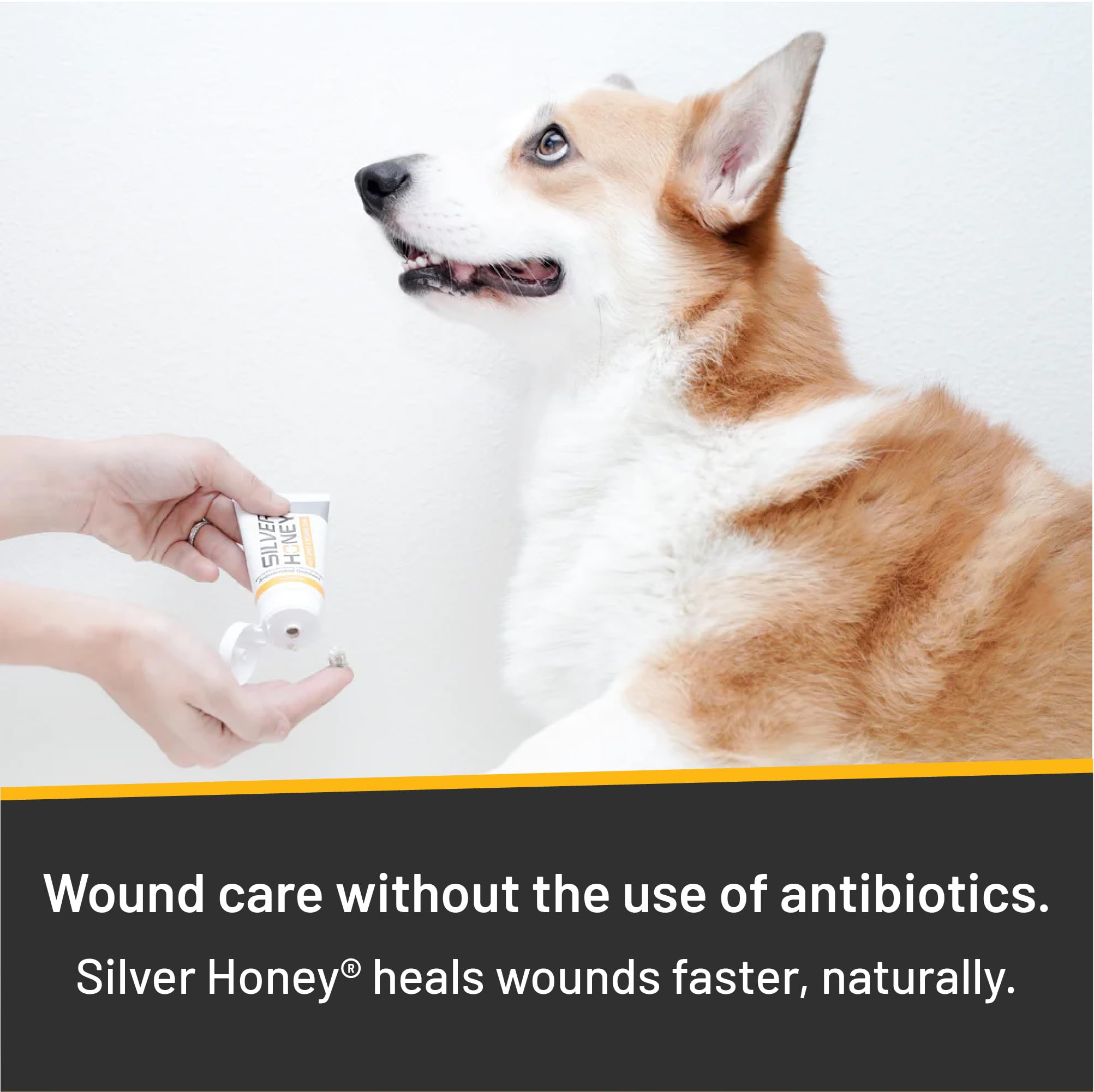Absorbine Silver Honey ointment-tube dispense for clean application