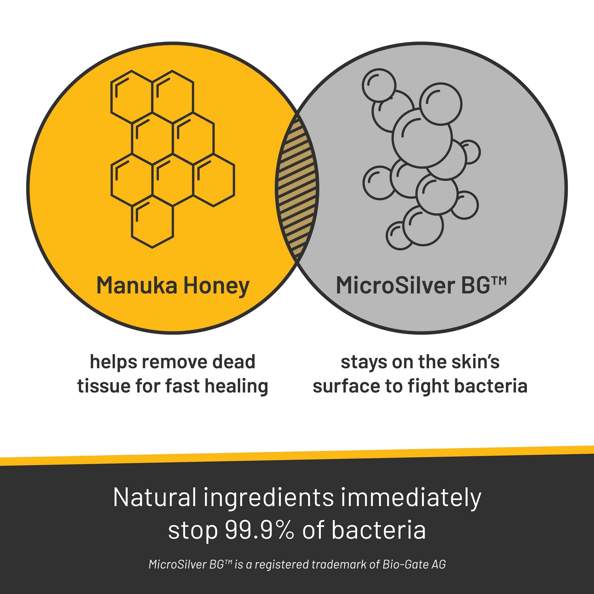 Absorbine Silver Honey pet-care scene illustrating at-home wound care routine.