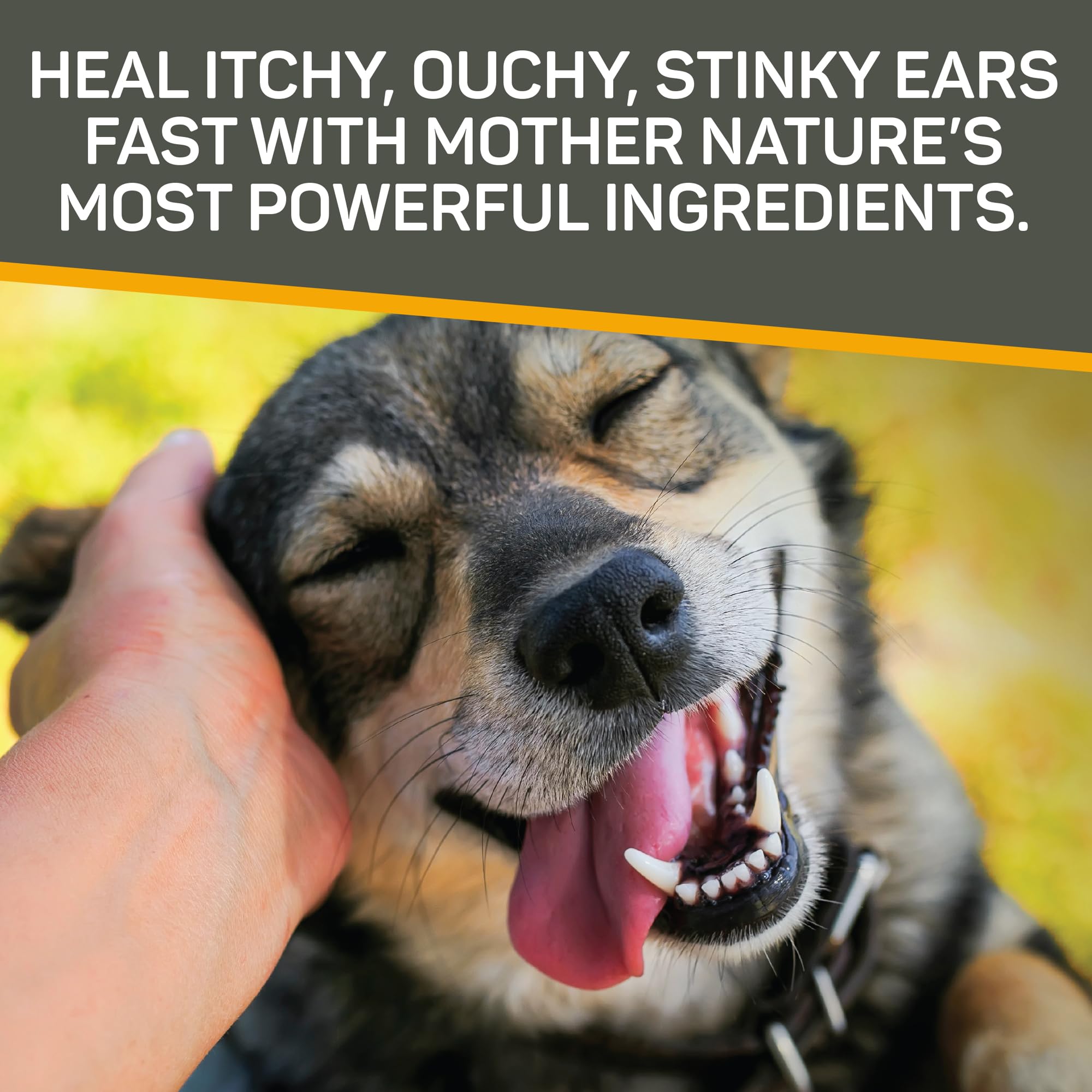 Absorbine Silver Honey Manuka honey ingredient visualization for soothing ear care.