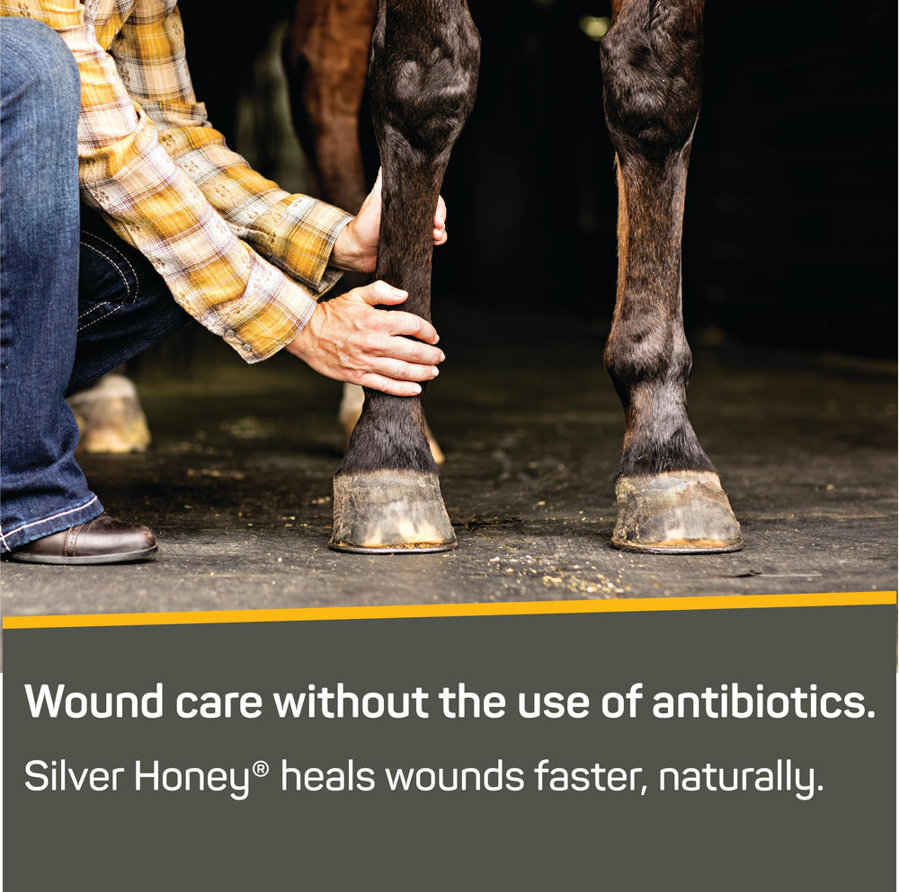 Absorbine Silver Honey ointment on skin demonstrating soothing care and protection