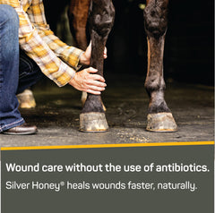 Absorbine Silver Honey ointment on skin demonstrating soothing care and protection