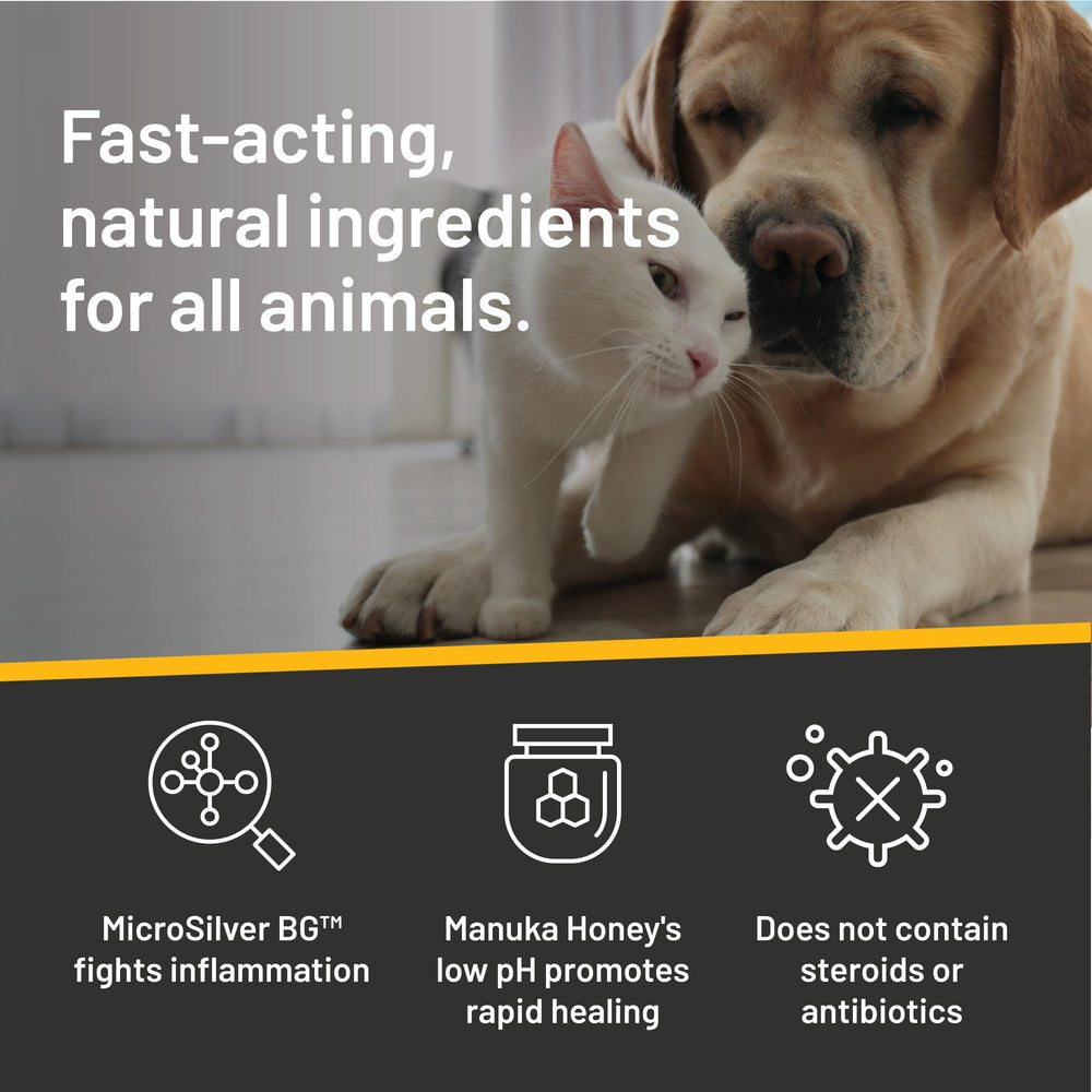 Absorbine Silver Honey skin-care application on irritated area