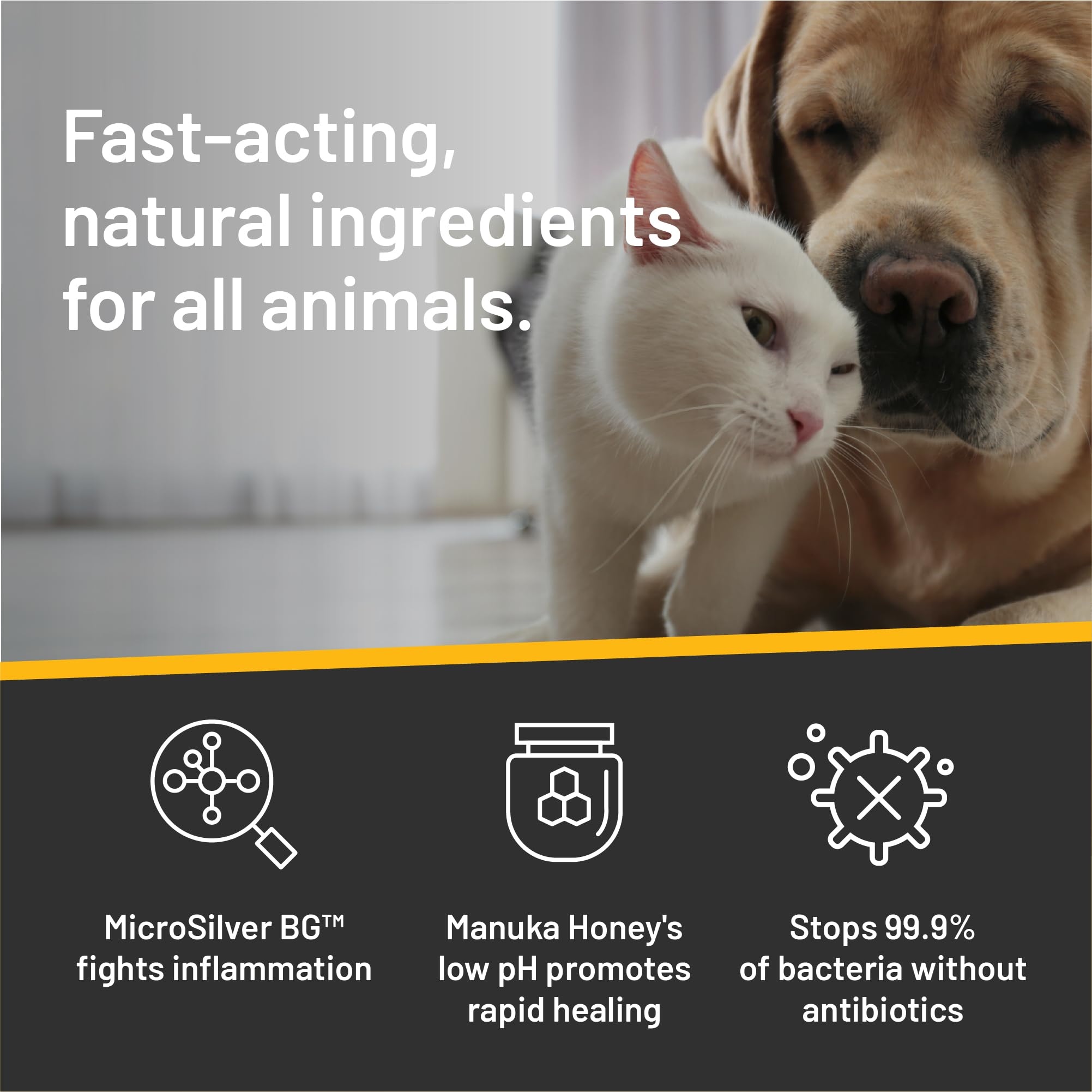 Absorbine Silver Honey touch-free application emphasizes convenient treatment of large patches.