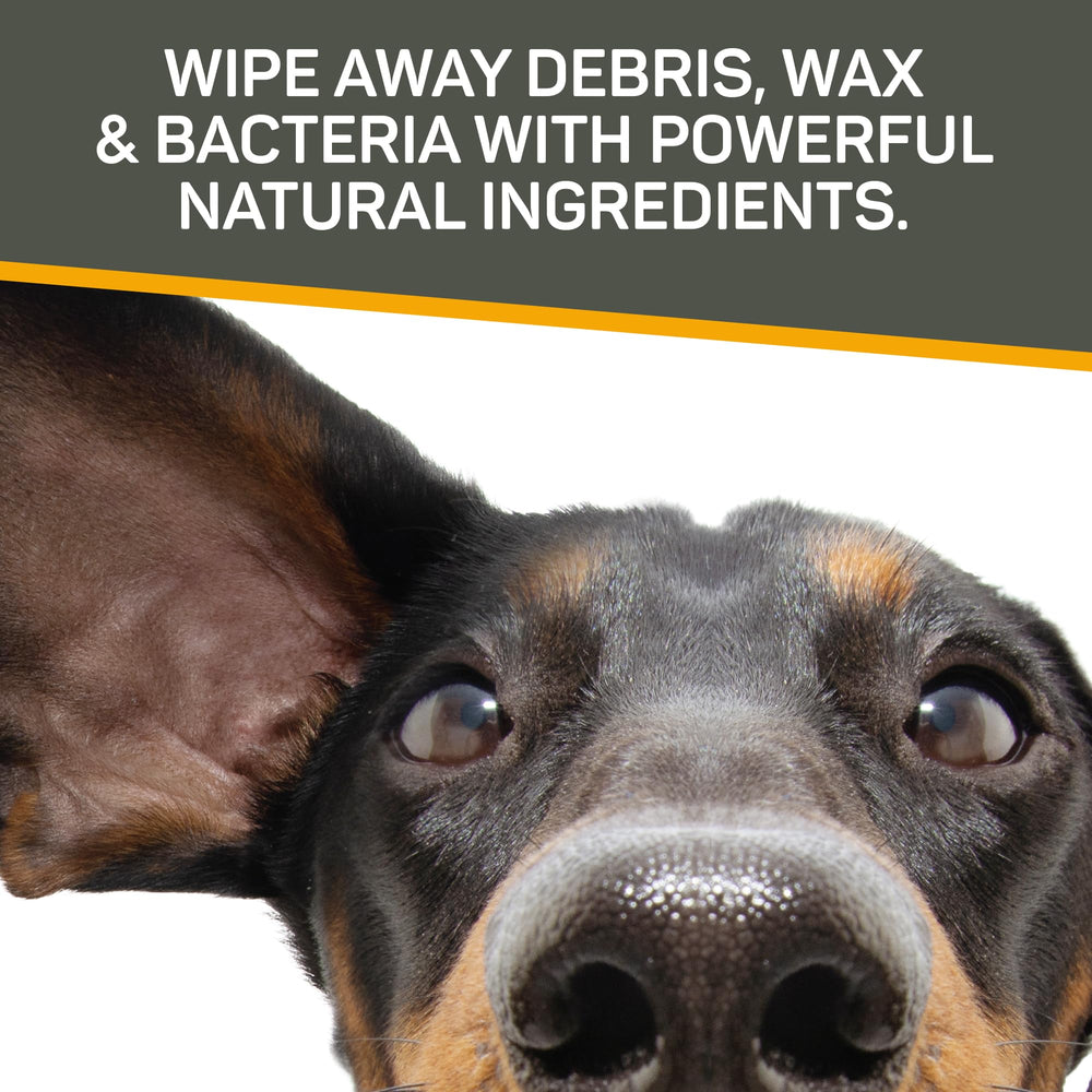 Absorbine Silver Honey wipes packaged for convenient at-home ear care.