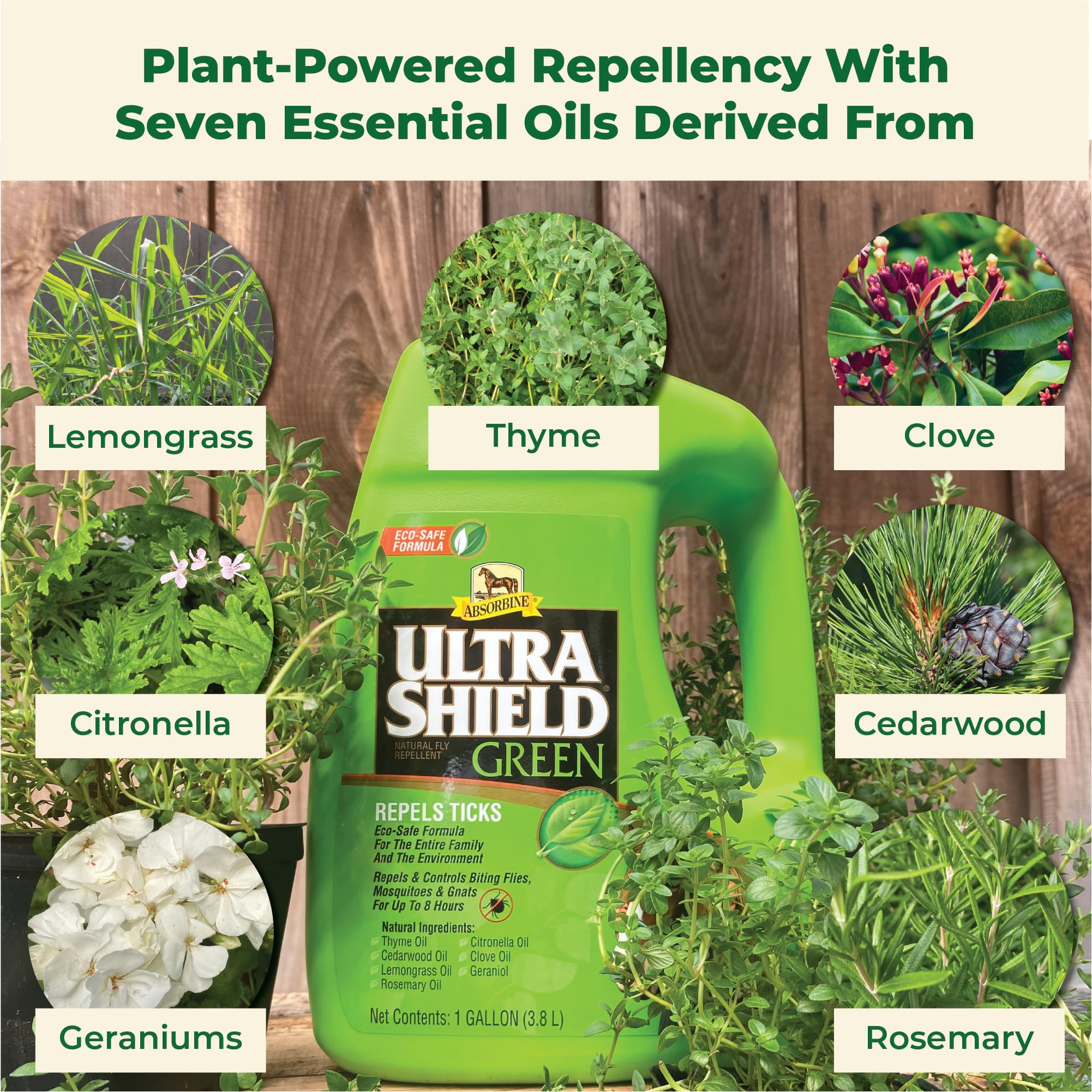 Absorbine UltraShield Green on a horse during turnout provides pest protection outdoors.