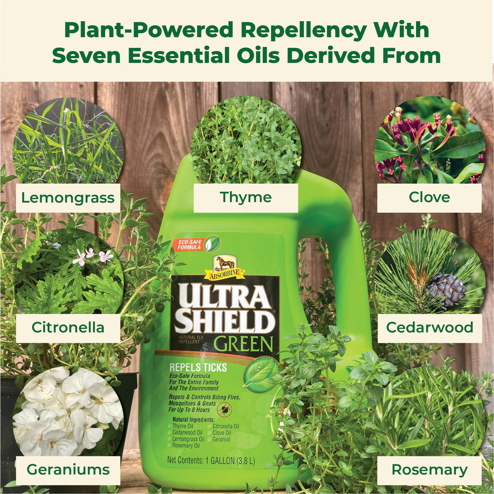 Absorbine UltraShield Green on a horse during turnout provides pest protection outdoors.