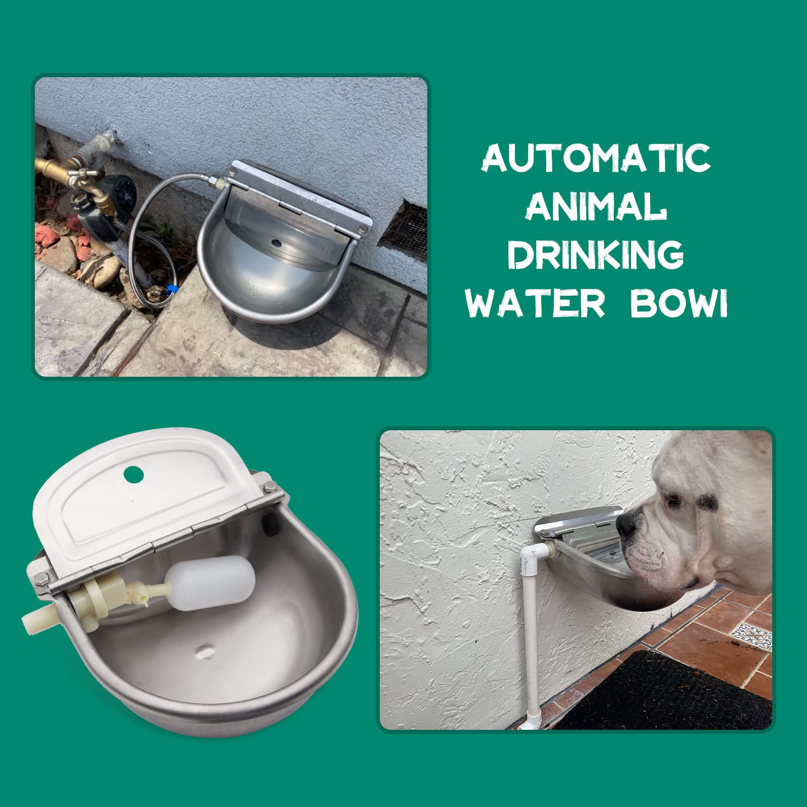 Abustle pig automatic water bowl stainless-steel close-up highlighting rust resistance