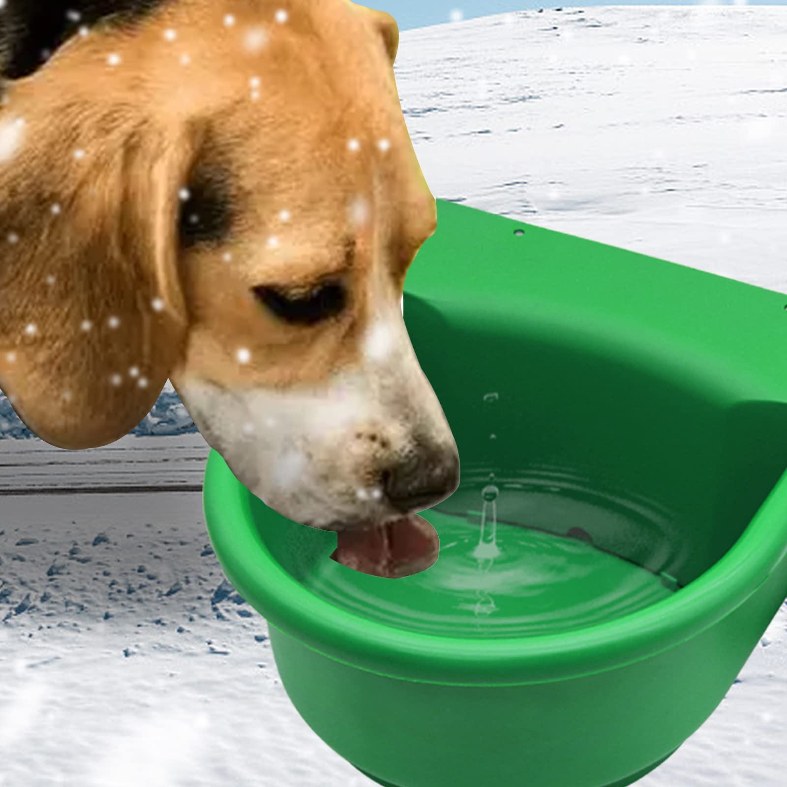 Abustle Pig chew-resistant cable protects drinking water setup.