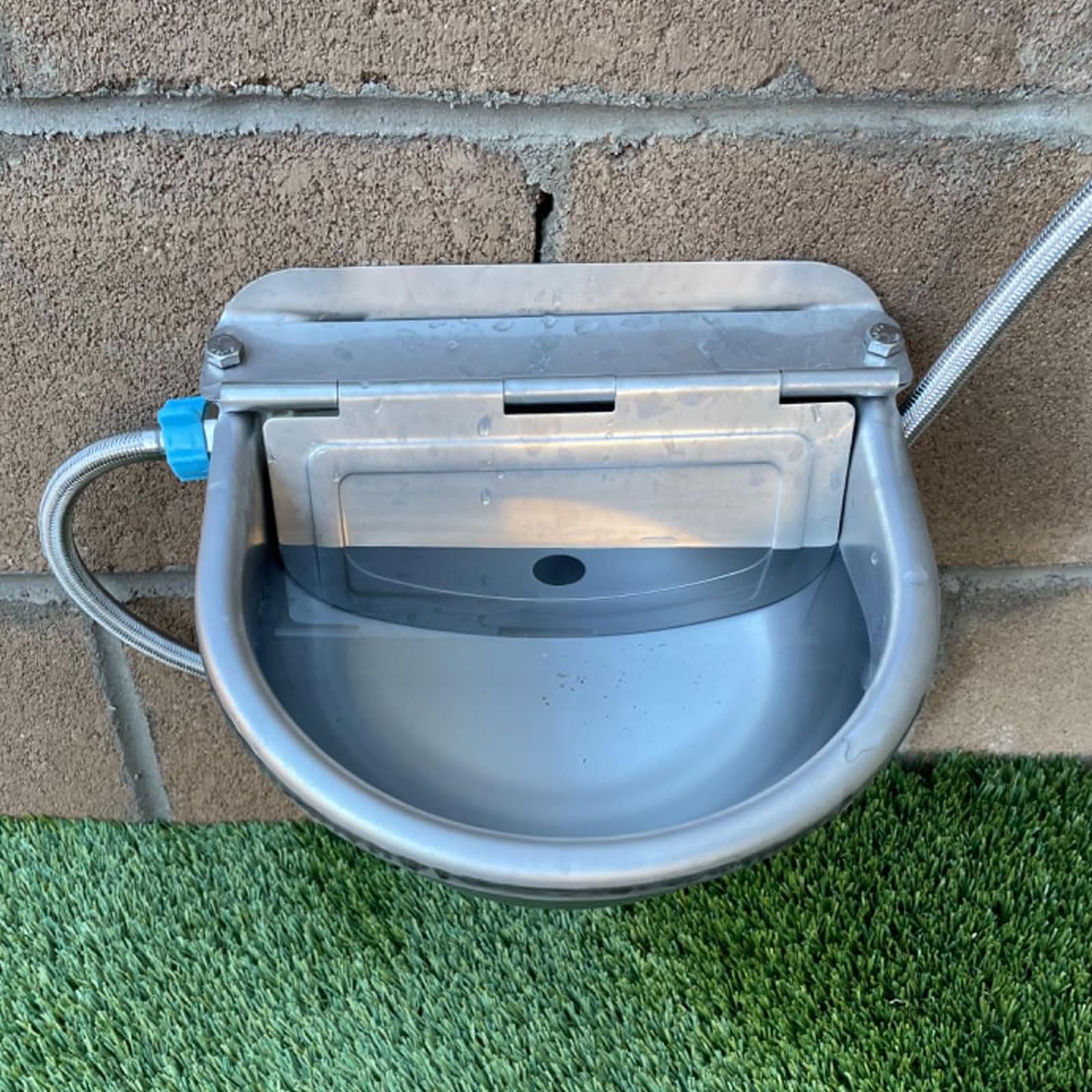 Abustle pig stainless-steel water bowl in use with animals in a barn