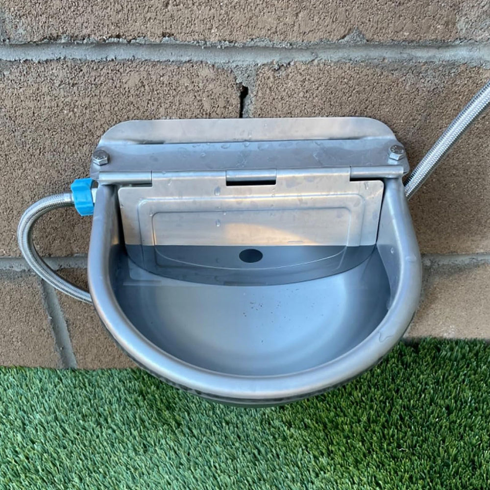 Abustle pig stainless-steel water bowl in use with animals in a barn