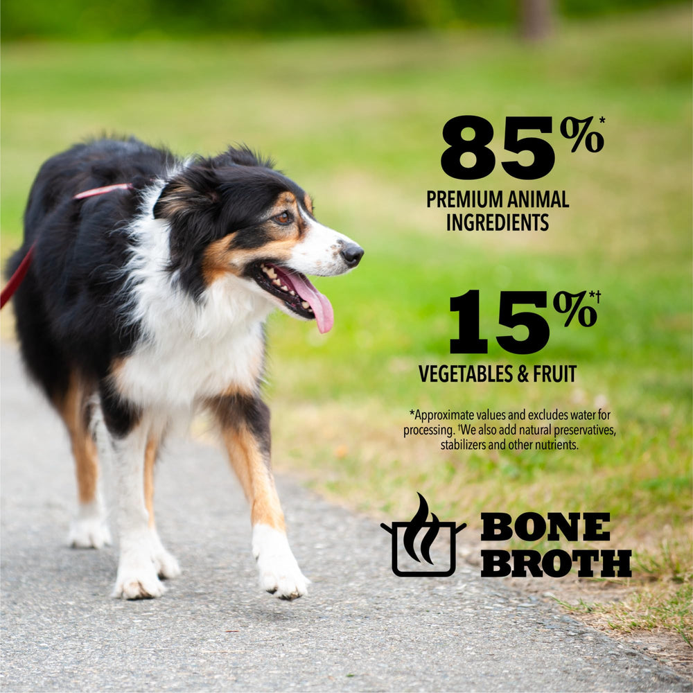 ACANA high-protein grain-free recipe with visible chunks for dog meal satisfaction.