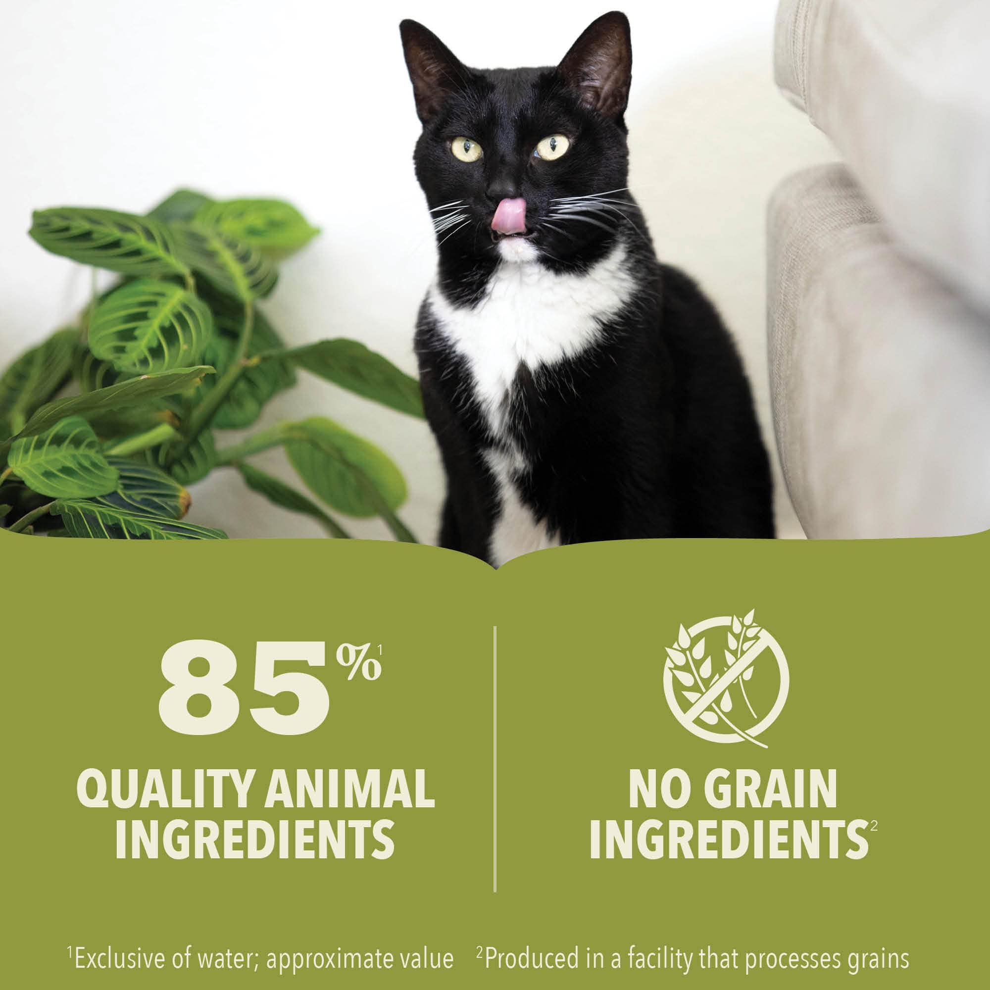 ACANA Premium Pate raw ingredients detail showcases salmon and chicken protein