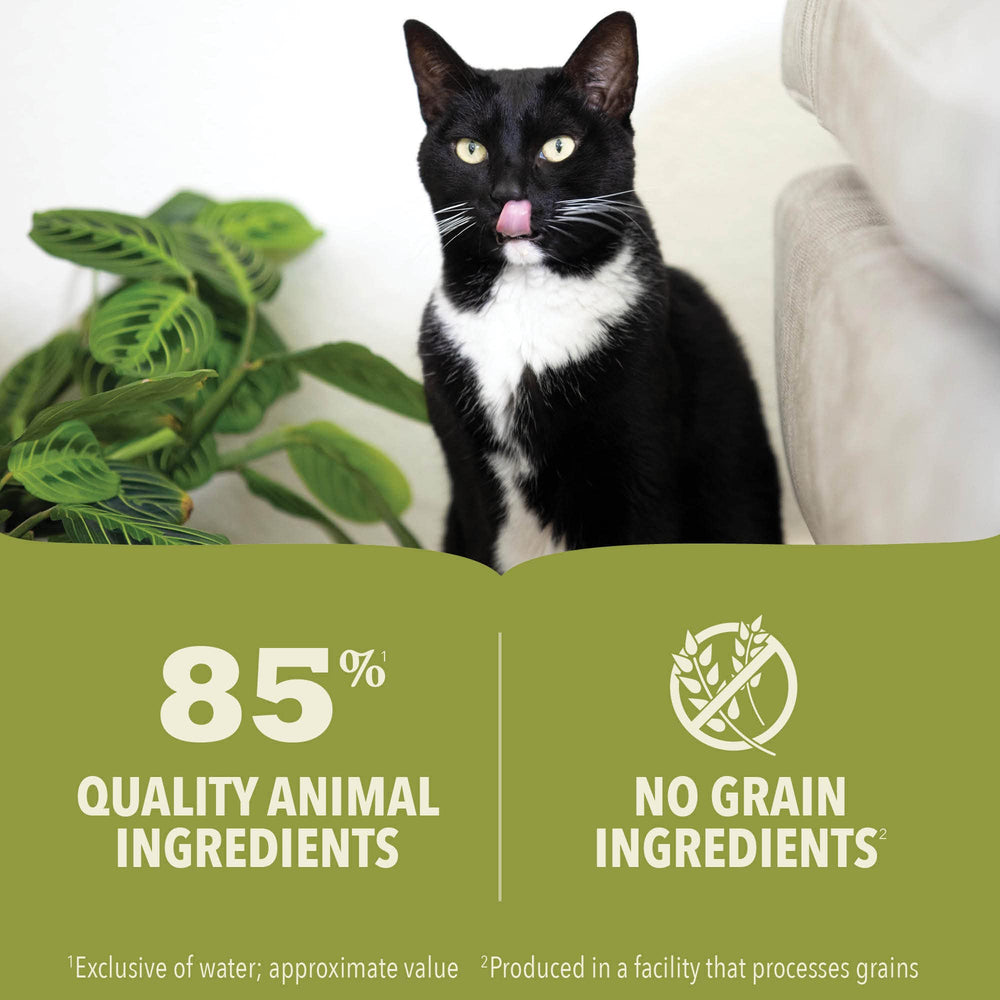ACANA Premium Pate raw ingredients detail showcases salmon and chicken protein