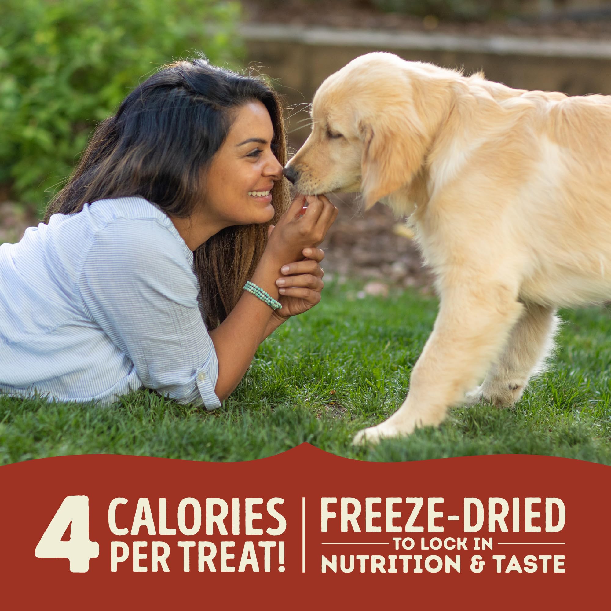 ACANA Singles freeze-dried texture close-up emphasizes aroma and craveable flavor for dogs.