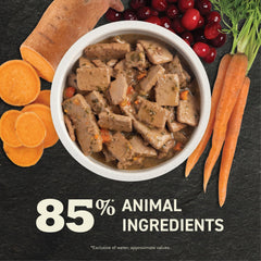 ACANA wet dog food topper on kibble demonstrates enhanced flavor and moisture.