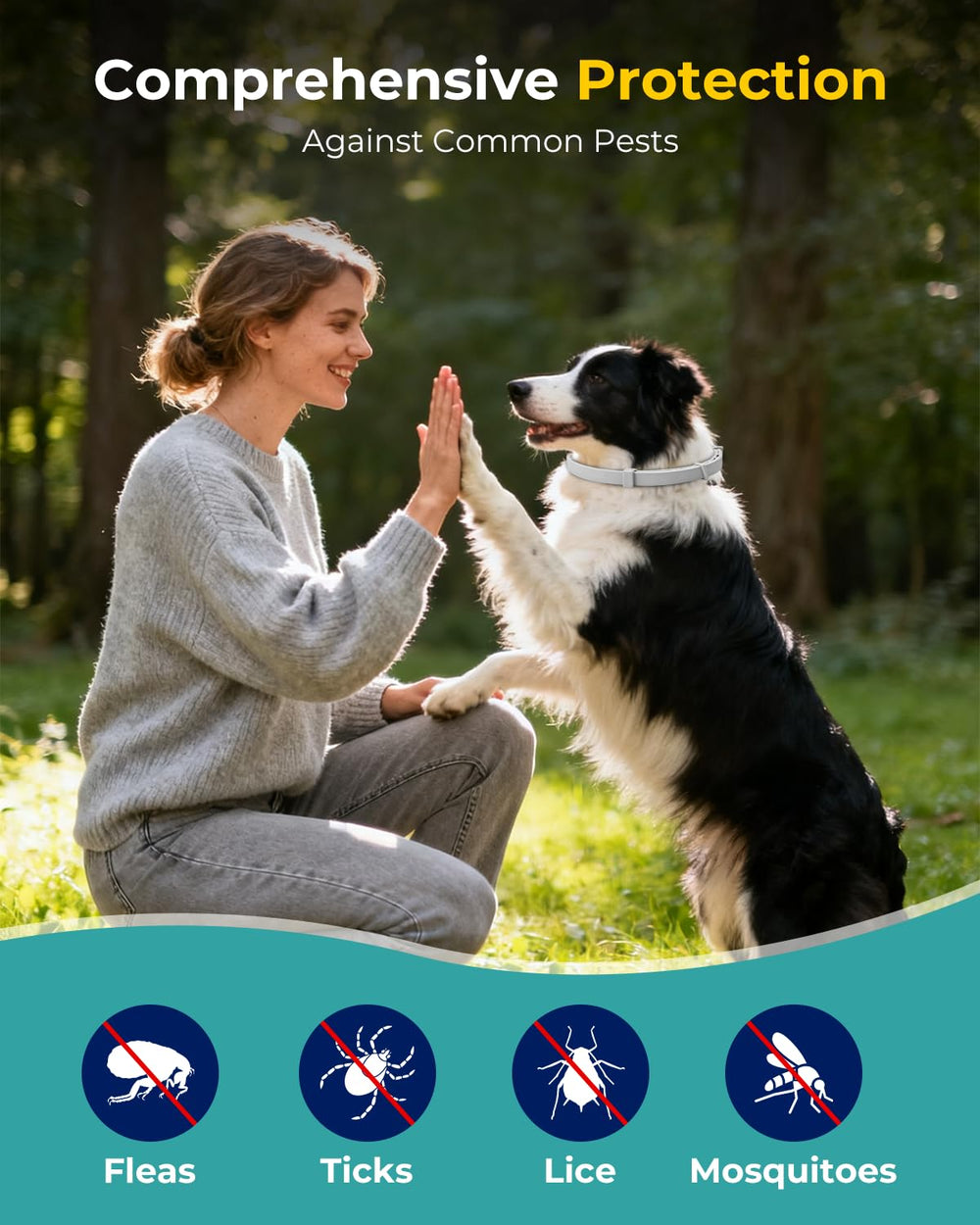 Accecraft flea collar close-up highlights soft upgraded material for comfortable wear