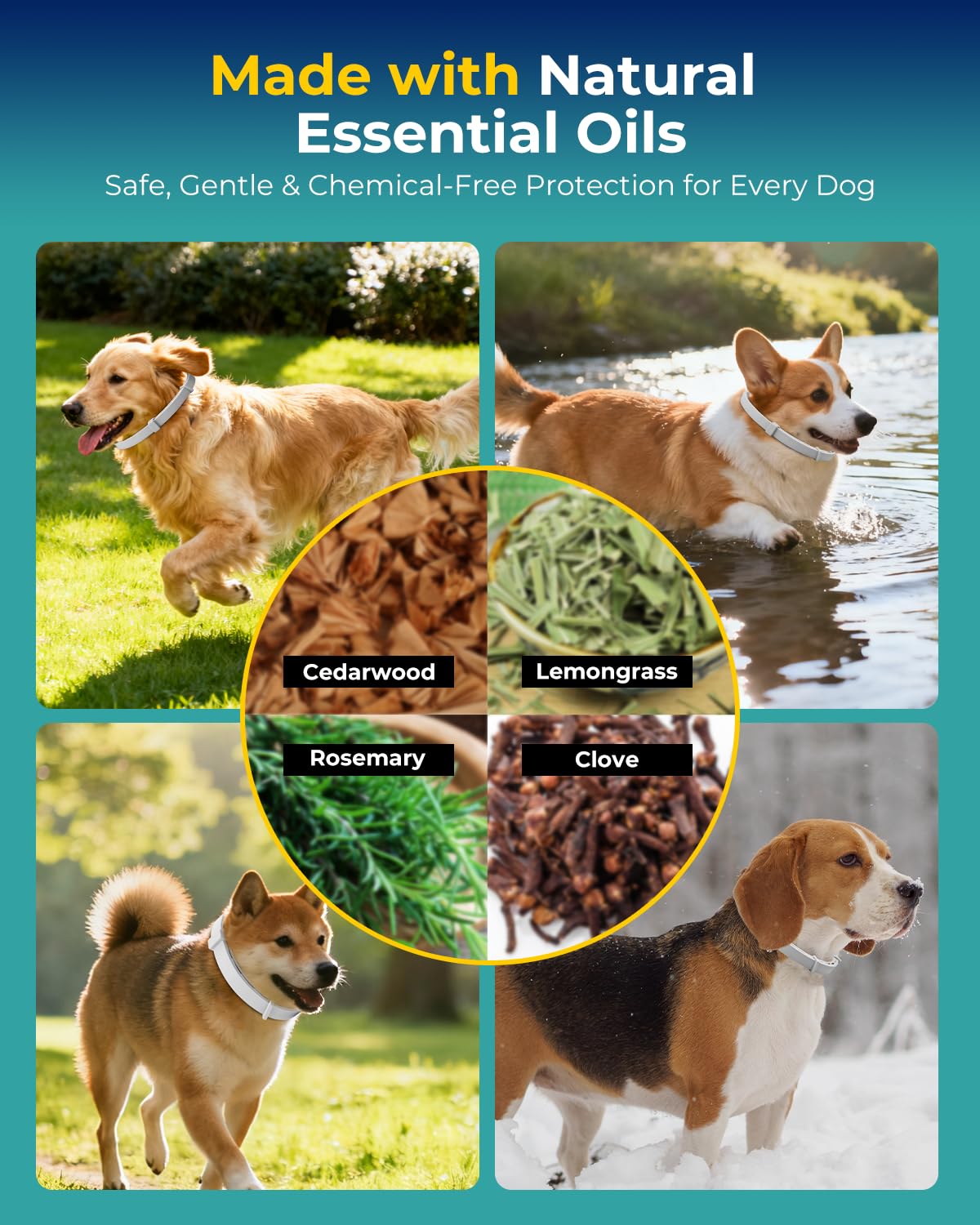 Accecraft flea collar soft upgraded material emphasizes gentle, pet-friendly wear