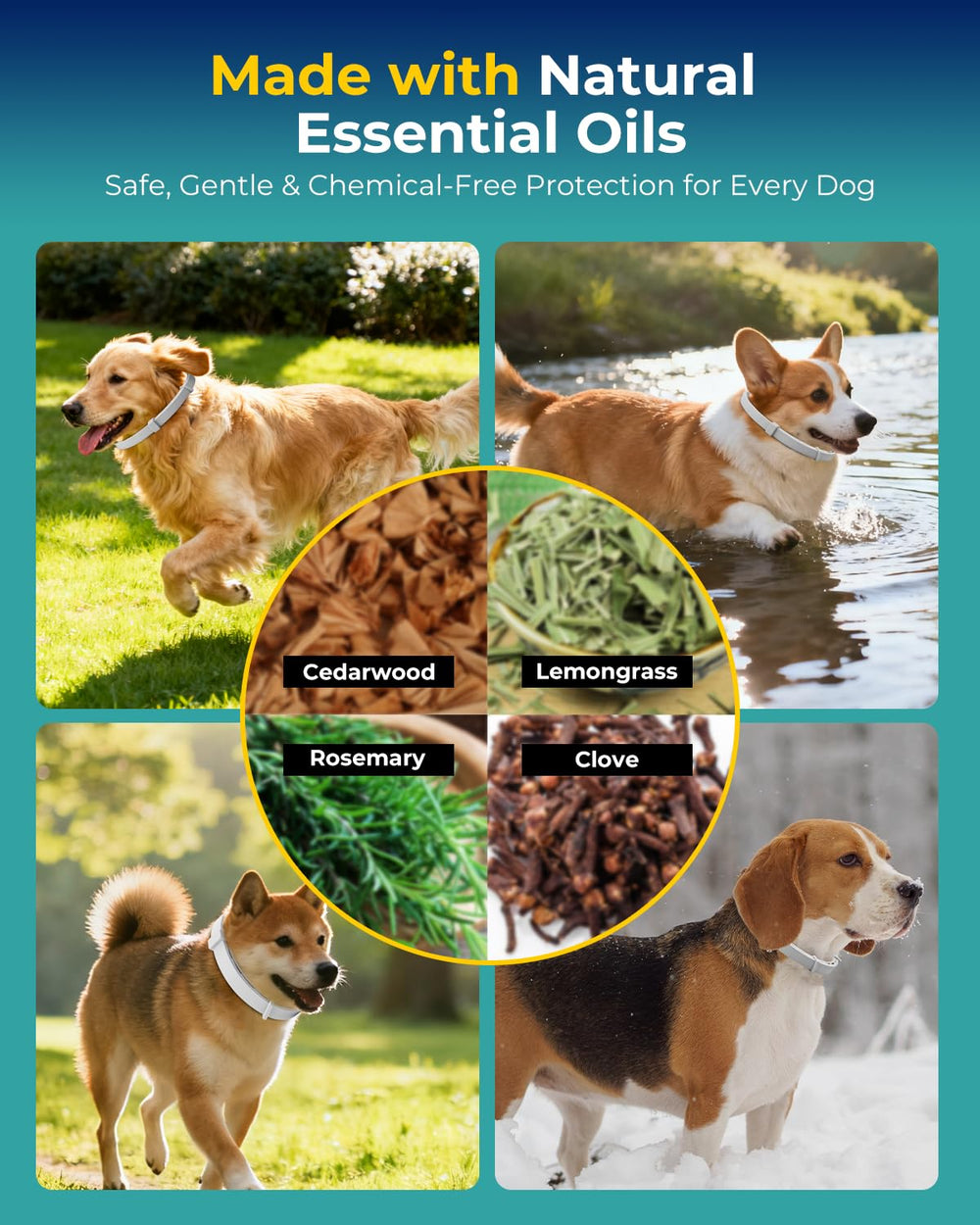 Accecraft flea collar soft upgraded material emphasizes gentle, pet-friendly wear