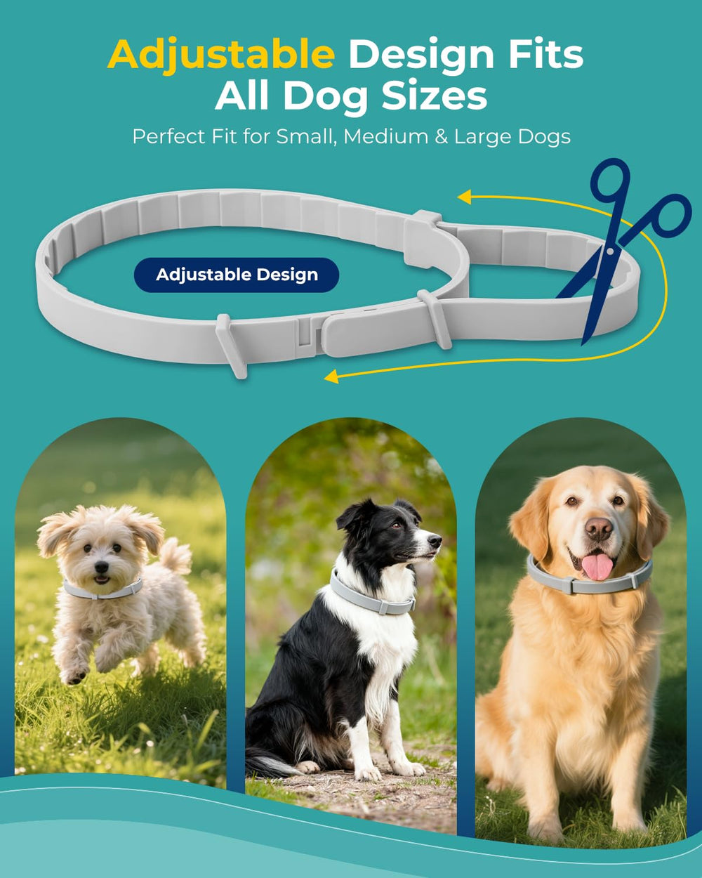 Accecraft flea collar grey product shot highlights modern, unobtrusive design