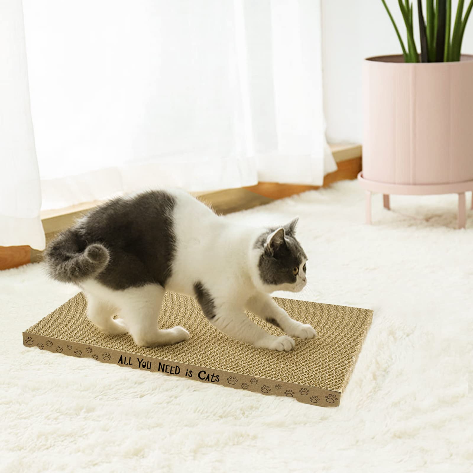 AccEncyc Cardboard Scratcher Pads eco-pack packaging ready for storage and reuse